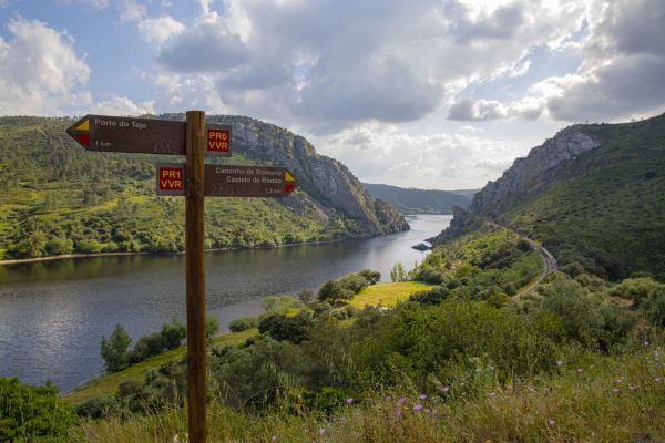 portas-de-rodao7959C431-BB5E-0EE8-DD9D-B3C738F38C68.jpg