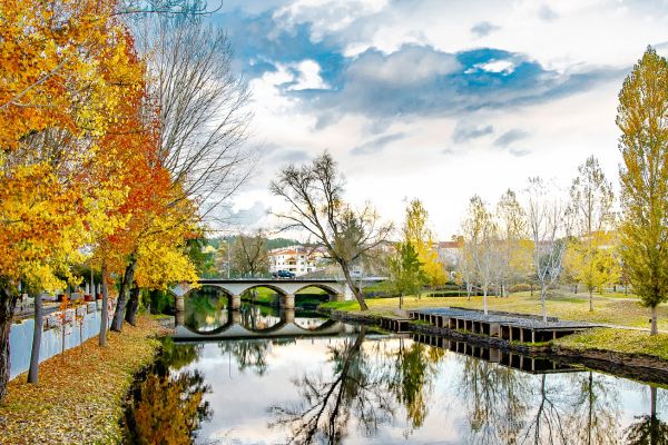 jardim-e-ponte-da-carvalhaFD05CC66-A415-07E2-16EC-406A8E1AC8A0.jpg
